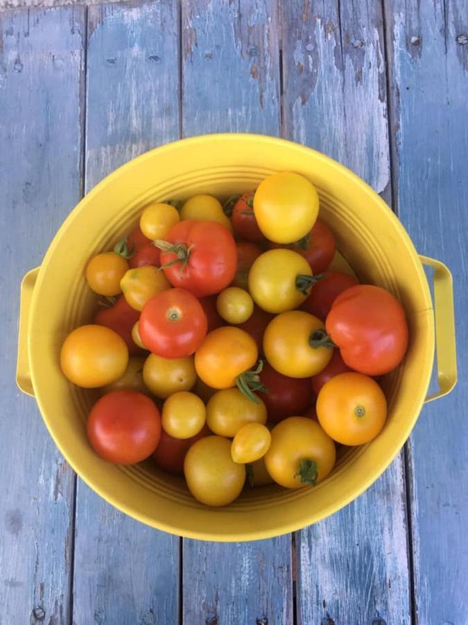 Kellerstoeckl Am Veganen Bio-Lebenshof "Varm - Die Vegane Farm" Sulb المظهر الخارجي الصورة